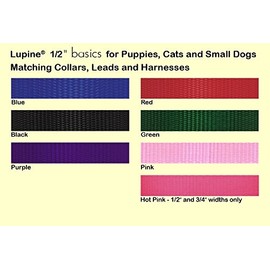LupinePet Basics 1/2" Green 9-14" H-style Harness for Small Pets