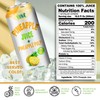 Vinut Natural Pineapple Juice Drink with Pulp, (16.57 fl oz,