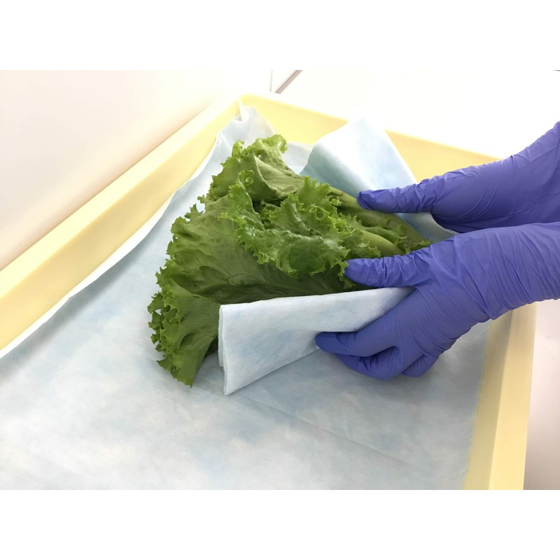 Nippon Paper Crecia 60650 Wipeall X50, Blue, 4-fold, 50 Sheets