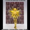 Saint Cloth Myth EX - Parts Effect Set (Phoenix &