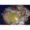 Salty Pelican Large Seashells Display MIx