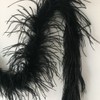 Sowder 72inch Length 1ply Ostrich Feather Boa for Wedding/party Decoration,