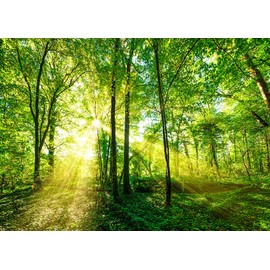 ZZBYSM 8X6FT Spring Backdrop Green Forest Newborn Baby Backdrop Studio Decoration Backdrop Birthday Party Backdrop Vinyl Party Backdrop BY147