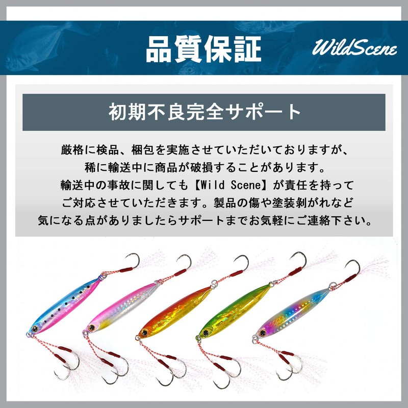 Wild Scene Metal Jigs, Throw Jigs, Set of 5, Assist