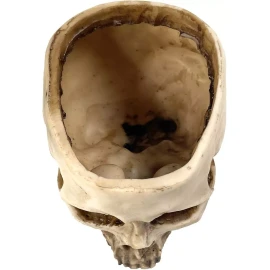 RMM Dulcero O Macetero De Resina Con Diseño De Calavera O Craneo