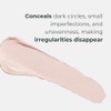 M. Asam Magic Finish Perfect Blend Concealer Fair (3 g)