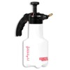 Birchmeier 116-134-01 Super Star 1.25 Handy Compression Sprayer for Home