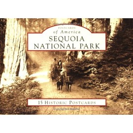Sequoia National Park: 15 Historic Postcards