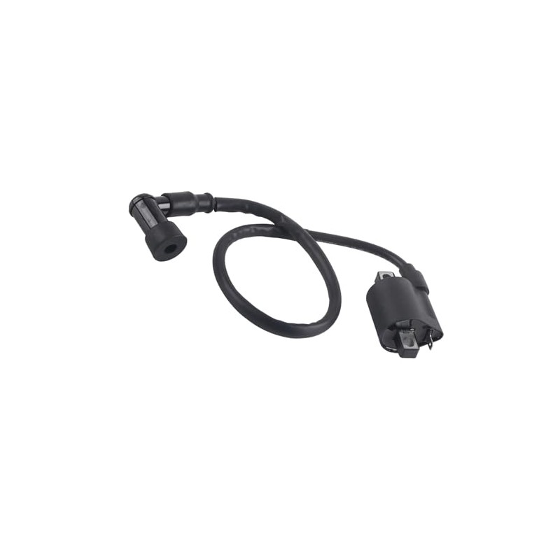 Motorcycle Ignition Coil, ATV Racing Ignition Coil for 150CC 200CC
