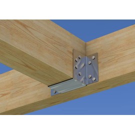 BPC Fixings Galvanised Mini Timber to Timber Joist Hanger 10-Piece Set, 50 mm Width