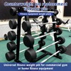 Liyquint 2Pcs Stainless Steel Weight Stack Pins - Locking Gym