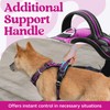 rabbitgoo Dog Harness for Large Dogs, No Pull Pet Vest