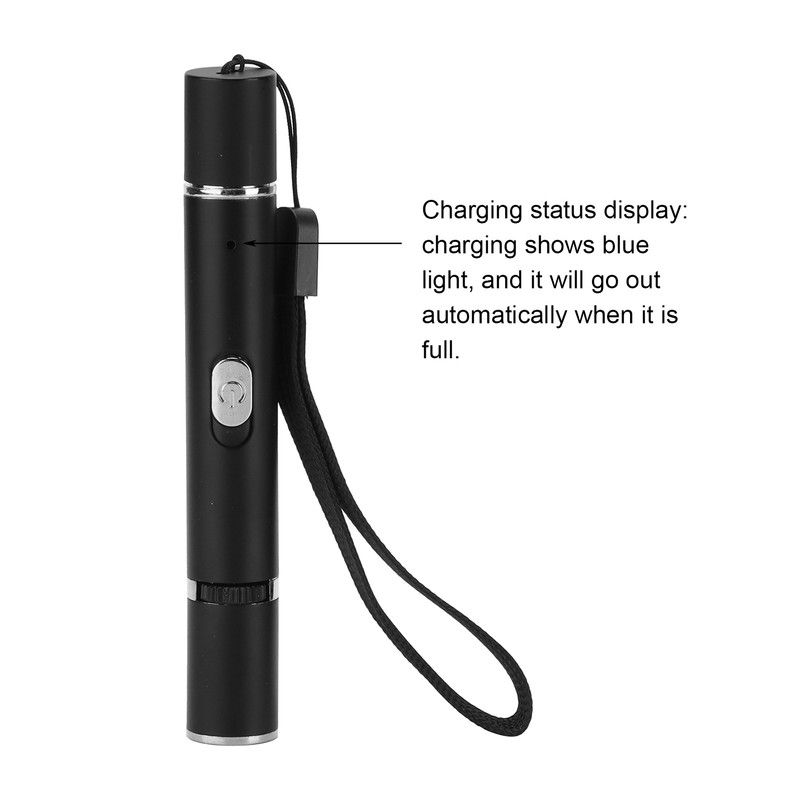 Pet Moss Light Hand Held LED UV Flashlight for Detecting