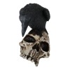 Foreboding Dark Crow Raven On Skull Statue 5"Tall Ossuary Scavenger