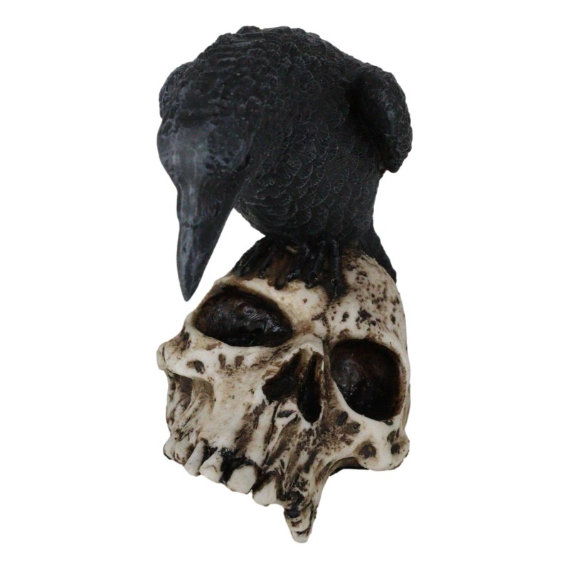 Foreboding Dark Crow Raven On Skull Statue 5"Tall Ossuary Scavenger