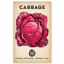 The Little Veggie Patch Co Cabbage Heirloom Seeds, 1 pack