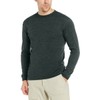 Minus33 Merino Wool 705 Chocorua Men's Midweight Crew Forest Green