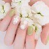 Dashing Diva 데싱디바 멜로우 스프링 네일4종세트 Dashing Diva Mellow Spring