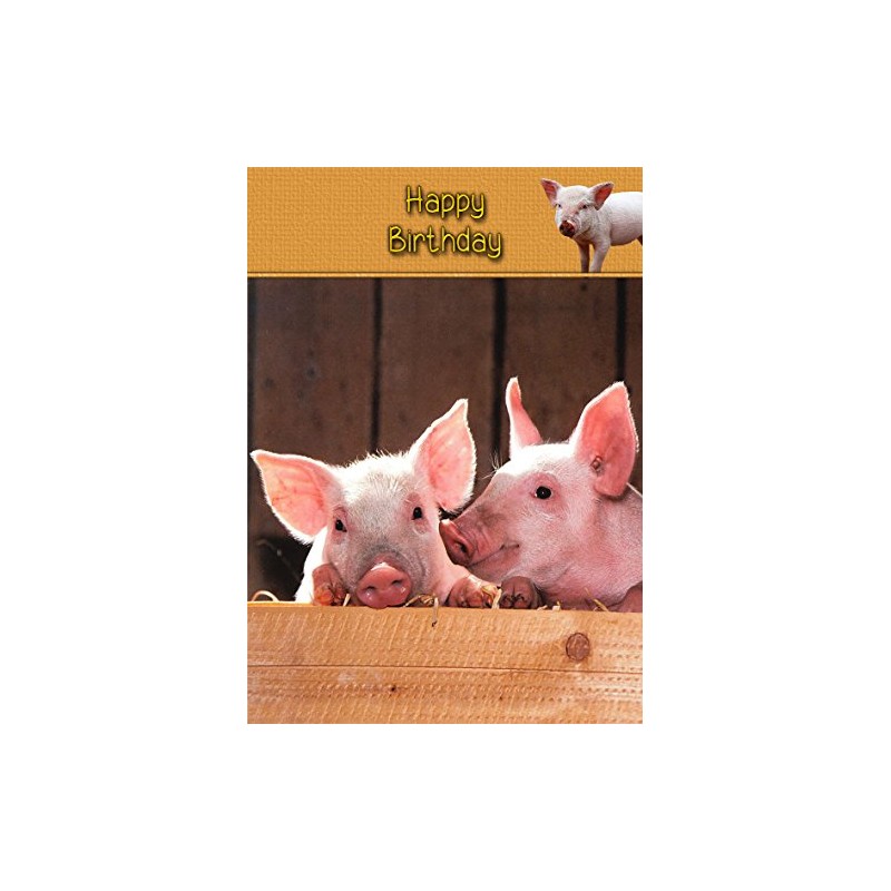 Pig Birthday Card