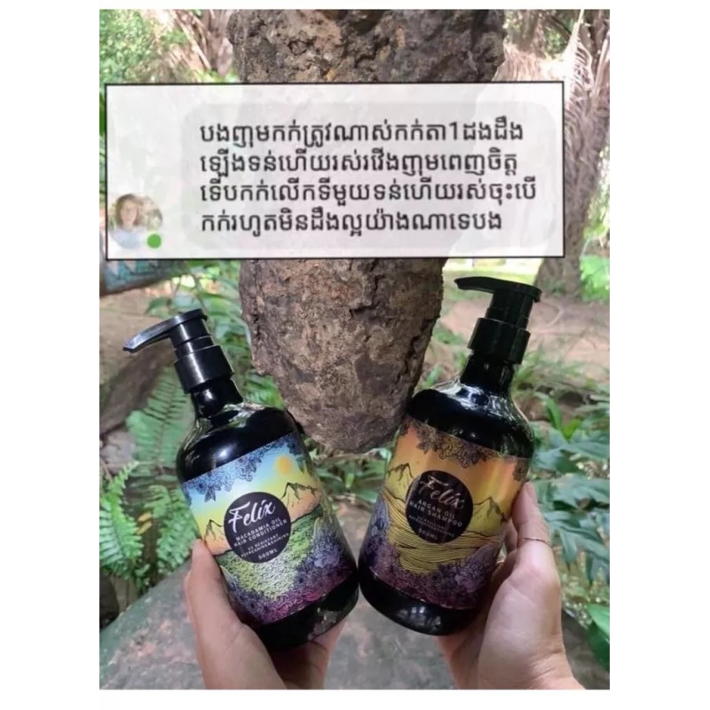 Felix Argan Oil Hair Shampoo សាប៊ូកក់សក់ហ្វ