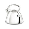 All-Clad Specialty Stainless Steel Tea Kettle 2 Quart Induction Pots