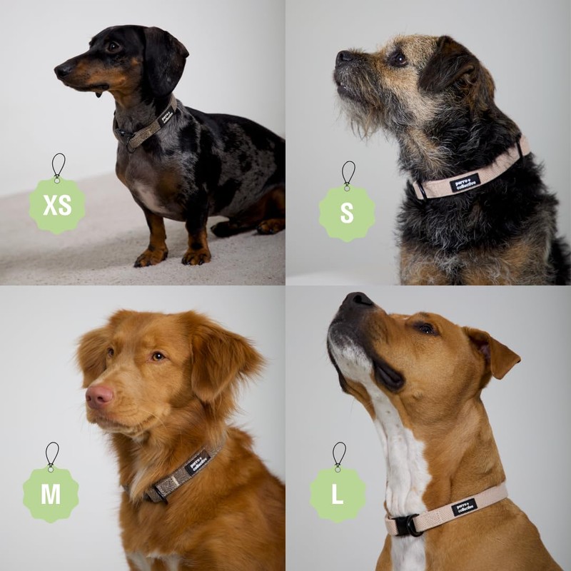 perro collective Dog Collar, Lead and Poop Bag Set, Brown,