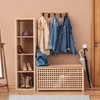 TONGNENGLIU Modern Wall Mounted Coat Rack, Floating Rack with Retractable