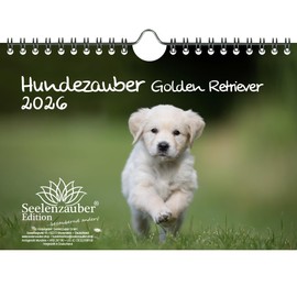Hundezauber Golden Retriever DIN A5 Kalender für 2026 Welpen und Hunde - Geschenkset Inhalt: 1x Kalender, 1x Weihnachtsanhänger (insgesamt 2 Teile)