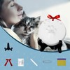 Sleeping cat Funeral urn, Kitty Pet Memorial Keepsake for Ashes