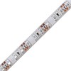 Kaito Denshi LED Tape Light, 12 V, Waterproof, High Density,