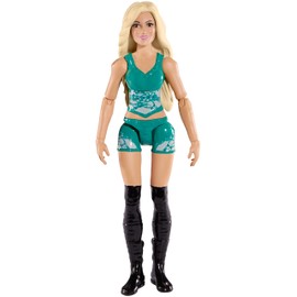 WWE Superstars Charlotte Flair Ultimate Fan Pack