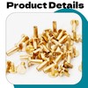 Zhooooonglf Brass Chicago Screws 8×4×9mm 20Pack Rivets Bookbinding Stud Screws