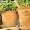 MAISONICA Set 3 Terracotta Planter Pots - Round Aged incl