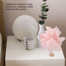 Fockety Feather Table Lamp, Touch Switch, Dimmable Modern Ostrich Feather Lamp with 3 Colour Temperatures and USB Port, Elegant Romantic Decorative Bedside Lamp for Bedroom (Pink)