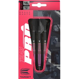 TEAM PRO Series CATHY LEUNG BRASS 16G 2BA Brass Darts Set (Exclusive Case)