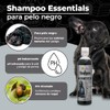 Fancy Pets Shampoo Essentials para Perros Pelo Negro con Extracto