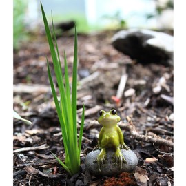 Top Collection 2.725-Inch Miniature Fairy Garden and Terrarium Cute Frog on Stone, Mini