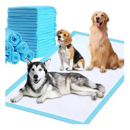 Pañal Almohadillas De Entrenamiento Para Perros Y Gatos 50pz                                                                                          