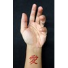 36 Premium Kanji Tattoos: Japanese, Chinese, Asian Characters: Love, Peace.