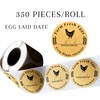 Farm Eggs Laid On Stickers Collected Date | 350 pcs