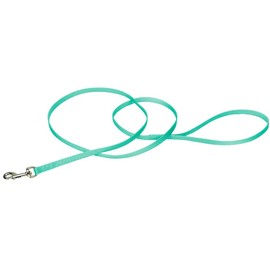 Coastal Pet Single-Ply Dog Leash - Sturdy Pet Leash - Comfortable & Stylish - Resists Fraying - Vibrant & Fade-Resistant Color - Teal, 3/8" x 6'