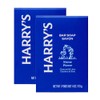 Harry's Bar Soap for Men - Stone Scent, 4 oz