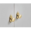 Goo-Ki Champagne Bronze Cabinet Drawer Knobs with Backplate or Spacer