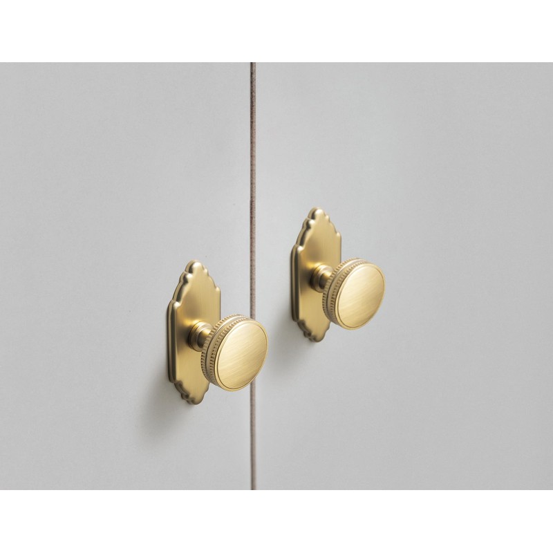 Goo-Ki Champagne Bronze Cabinet Drawer Knobs with Backplate or Spacer