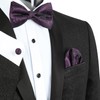 Alizeal Mens Classic Paisley Bow Tie, Hanky and Cufflinks Set,