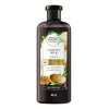 Herbal Essences Shampoo Herbal Essences biorenew leche de coco de