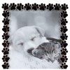 Roman 19237 Caroline Collection Black Frame with Paw Print, Holds