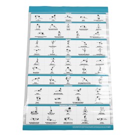 Yoga Poses Poster with Colored Illustrations for Beginners Workout Motivation Sequence Fitness Guide Chart