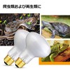 ShiawaseforU Reptile Light, UVA, Daytime Spotlamp, Amphibian Lighting, Natural Sunlight,