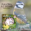 STARLYF Wall Clock Birdsong Clock, Original, With 12 native songbirds,